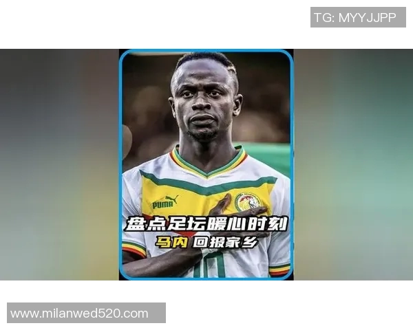 马内足球明星的成就与影响力分析及其在足坛的地位探讨