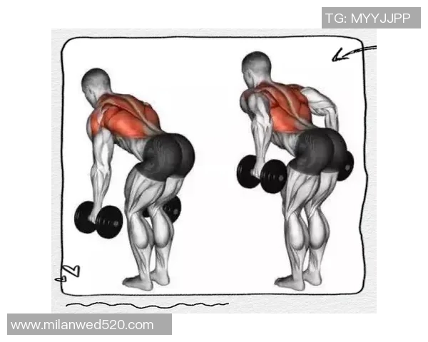 使用哑铃锻炼小臂肌肉的有效方法与技巧分享