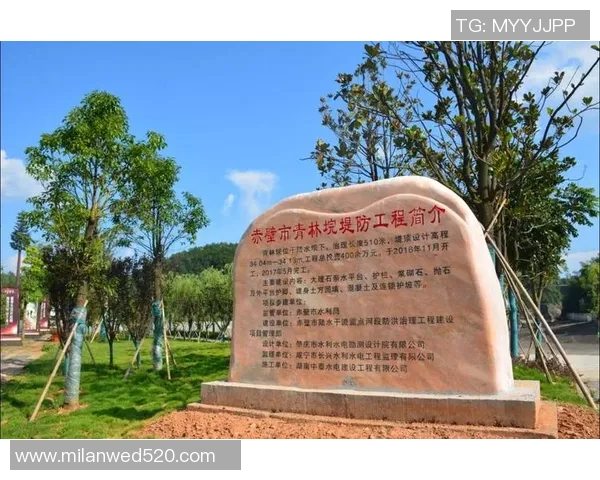 赤壁市篮球明星的崛起与发展:从地方小将到全国瞩目的运动员之路 赤壁市篮球明星的崛起与发展:从地方小将到全国瞩目的运动员之路